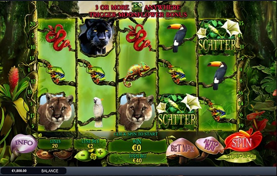 Secrets of Amazon von Playtech